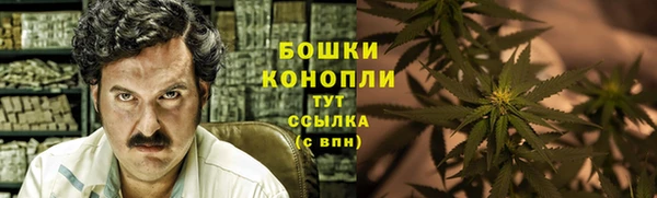 PSILOCYBIN Приозерск