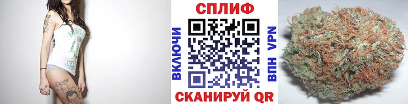Бошки Шишки семена Духовщина